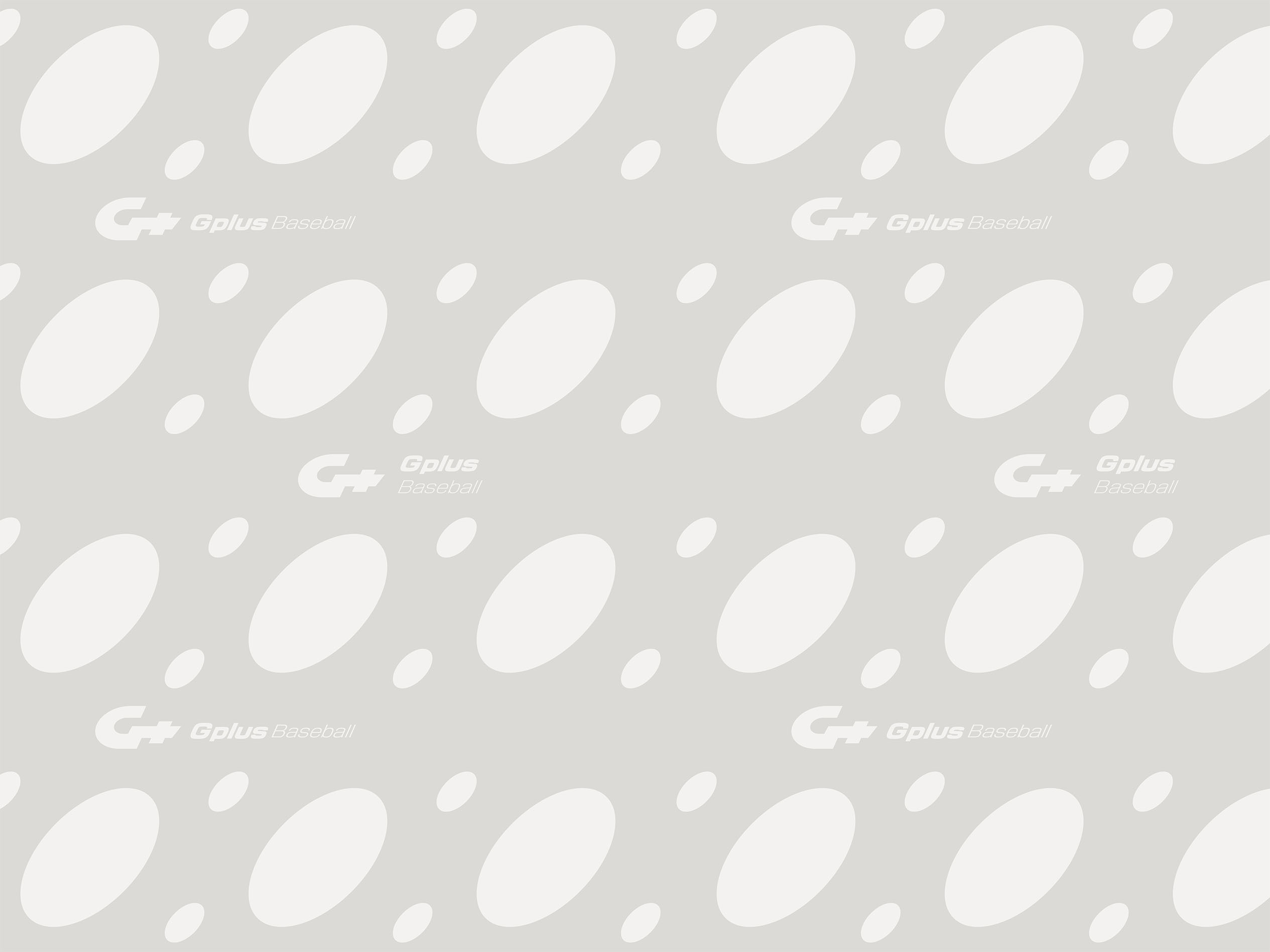 Visual Identity 04